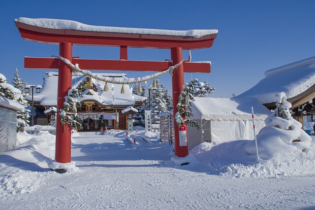 Où aller au Japon l'hiver